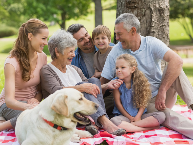 Tax Tips: Credit for other dependents Image